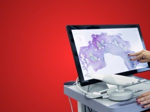 The Importance of Working with a Good Dental Lab: A Key to Success for Dental Practices